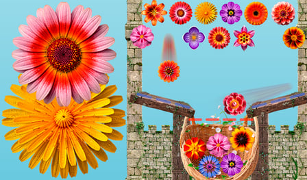 Merge flowers in the basket 2048