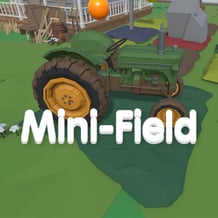 Mini-Field