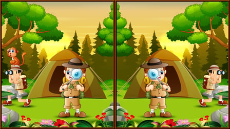 Spot 5 Differences Camping