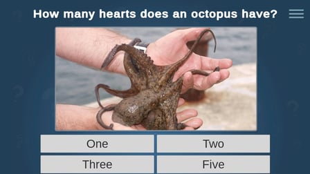 Are you the smartest? - Screenshot 2