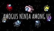 Amogus Ninja Among Us