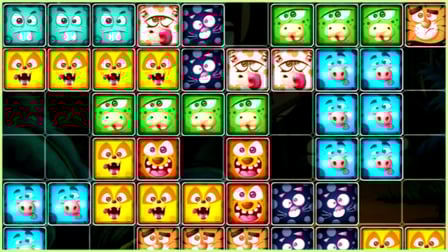 1010 Animals Tetriz 