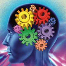 Brain trainers