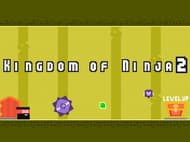 Kingdom of Ninja 2