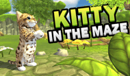 Pets in the maze