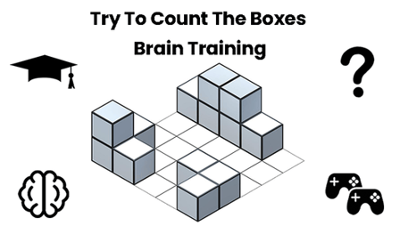 Try To Count The Boxes Brain Training