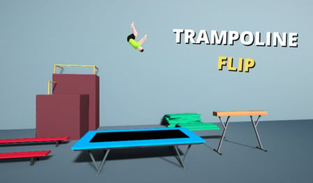 Trampoline Flip