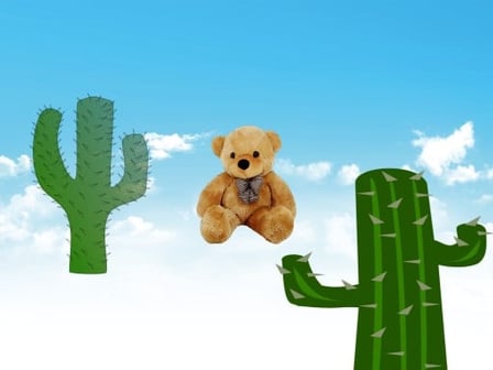 Fall cactus Season 1 teddy