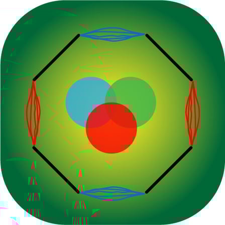 Octum
