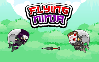 Flying Ninja