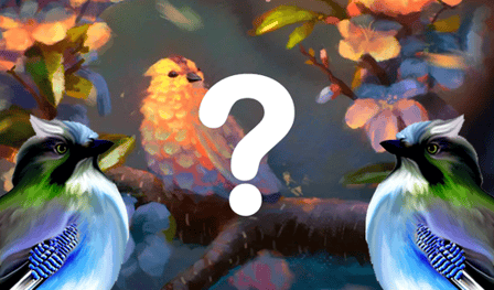 Quizzes: Guess the Bird