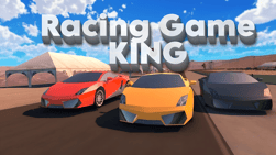Racing Game King HP