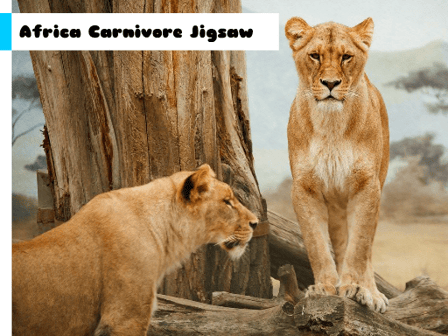 Africa Carnivore Jigsaw