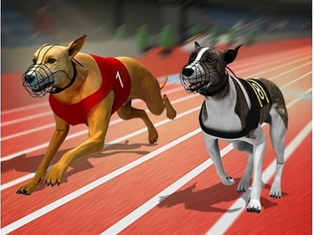 Racing Dog Simulator : Crazy Dog Racing Games