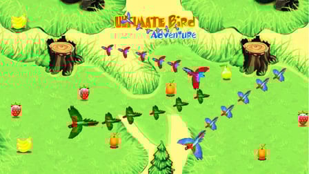 Ultimate Birds Adventure 