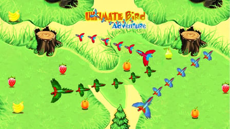 Ultimate Birds Adventure 