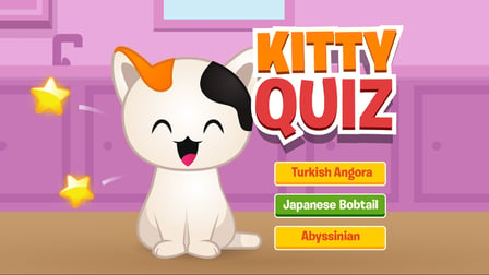 Kitty Quiz