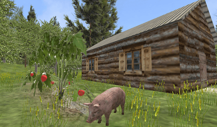 Village Pig Simulator