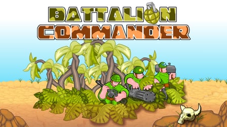 Battalion Commander