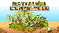 Battalion Commander