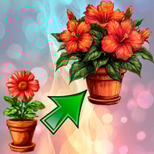 Pots