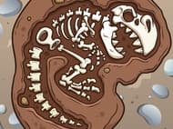 Dino Digger