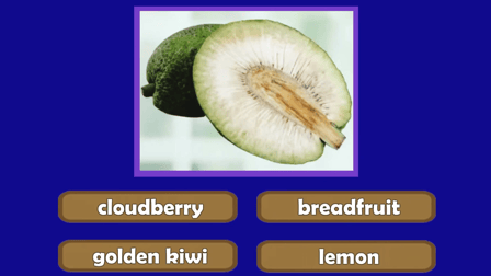 Guess The Fruit World Quiz - Screenshot 2