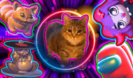 Spin the memes in 3D! Maxwell, Sigma Boy!