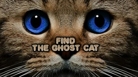 Find the Ghost Cat