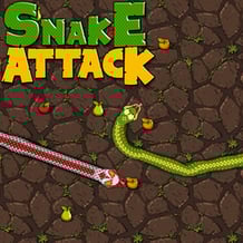Snake Attack