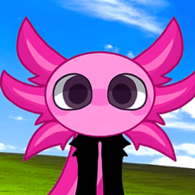 Kinito Pet: Your best friend