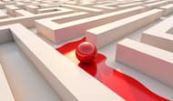 Paint-Ball: The Path of The Artist