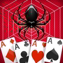 Spider Solitaire Cards