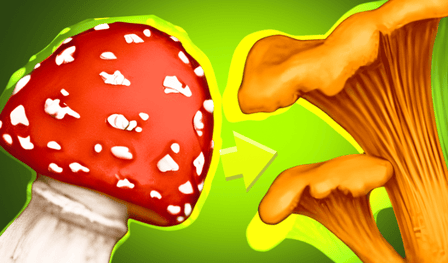 Merge Mushroom