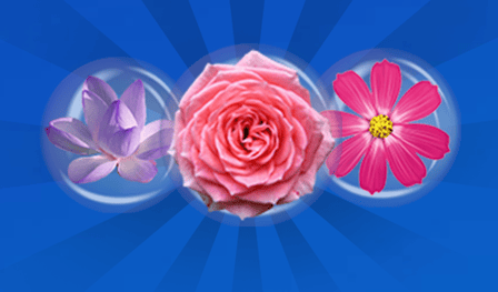 Connect the Flowers: Flower Kaleidoscope